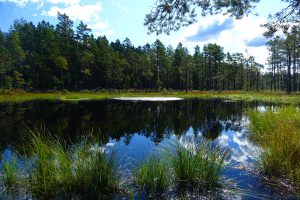 naturschutzgebiete nationalparks in schweden