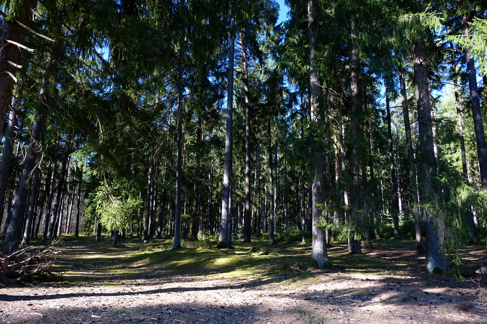 faberwald faberhof pyrbaum bei der straßmühle wildpark