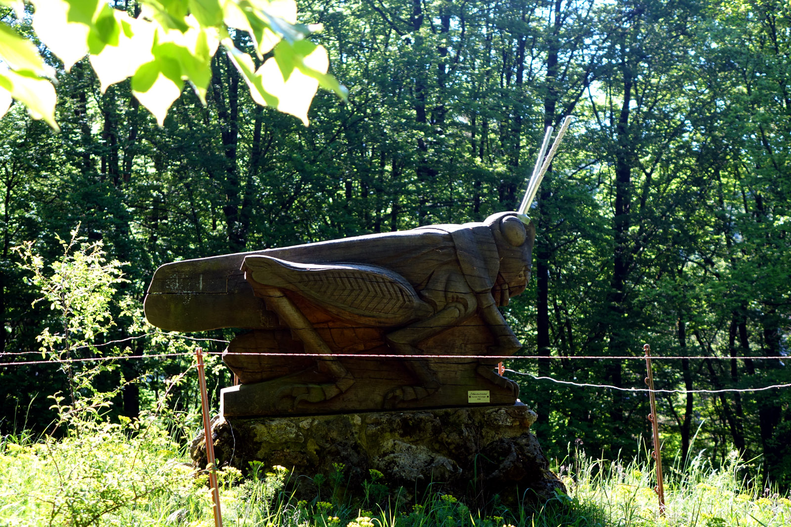 ödlandschrecke skulptur holz im wengleinpark