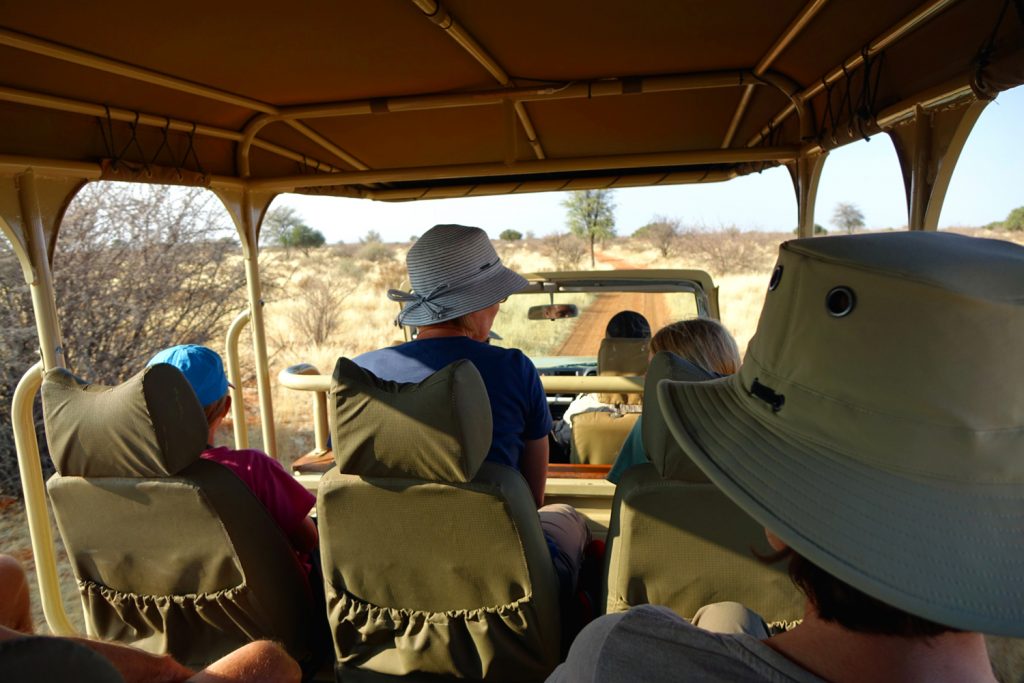 jeep safari kalahari namibia game drive pirschfahrt