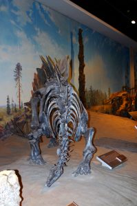 Dinosaurier Kanada Royal Tyrrell Museum Palaeontologie Funde Fossilien Exponate