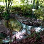 Kalksinterterrassen in Kaising bei Greding Landkreis Roth Mittelfranken Bayern Sehenswuerdigkeiten Wandern Naturlehrpfad