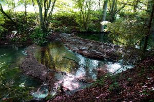 Kalksinterterrassen in Kaising bei Greding Landkreis Roth Mittelfranken Bayern Sehenswuerdigkeiten Wandern Naturlehrpfad