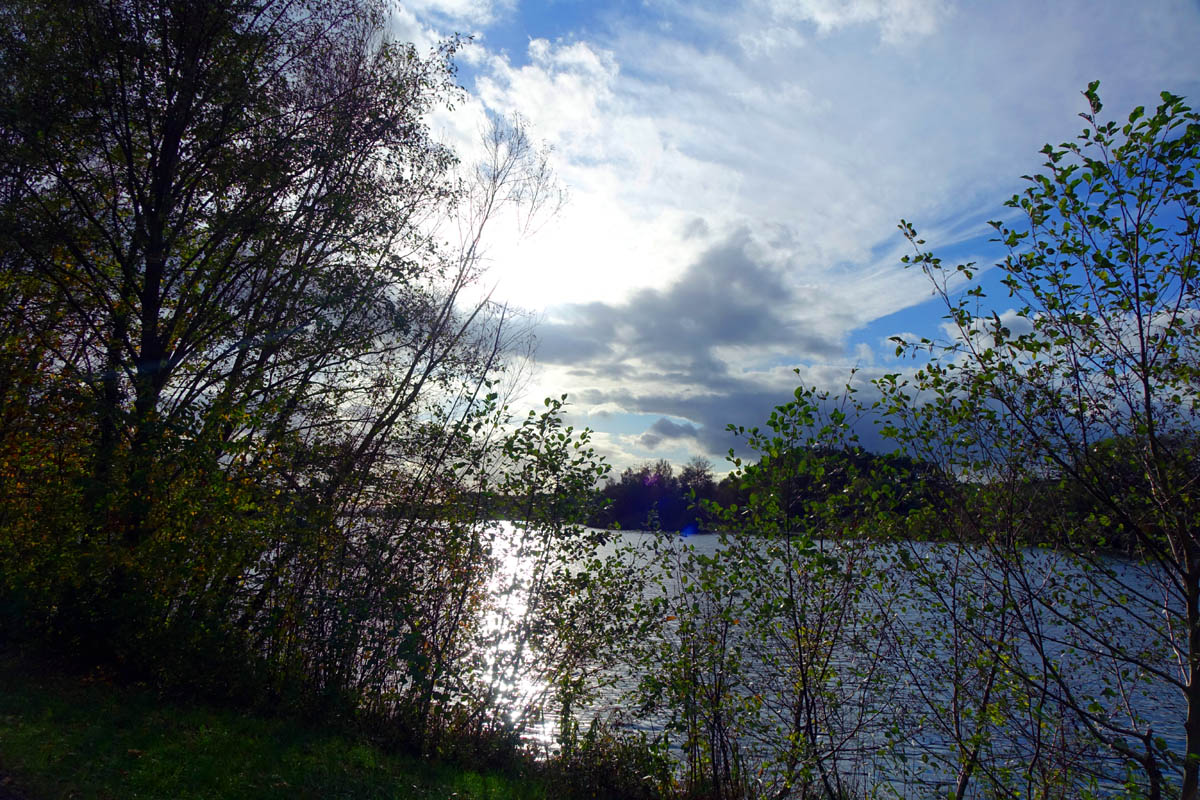 Blick auf die Rothsee Vorsperre ins Naturschutzgebiet mit herbstlicher Stimmung
