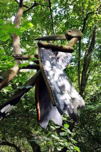 specht aus holz auf dem baumkronenpfad hainich