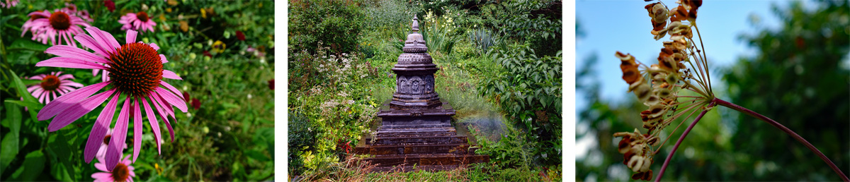 blütentraum im nepal himalaya park in regensburg wiesent donau