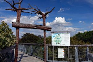 nationalpark hainich