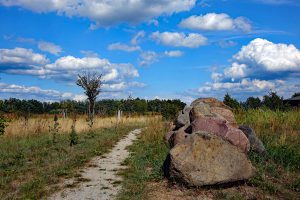 sielmanns naturlandschaften wanninchen