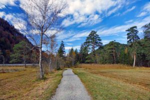 rundweg um den schwansee und alpsee