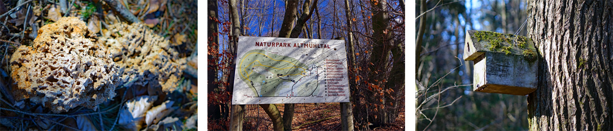 Infotafel Naturpark Altmühltal auf dem Schlossberg-Rundweg bei Heideck im Landkreis Roth
