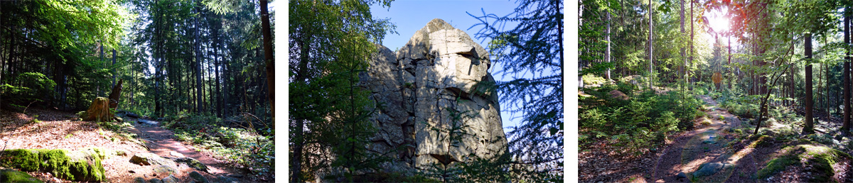 Wald und Felsen Waldhistorischer Lehrpfad im Naturpark Steinwald