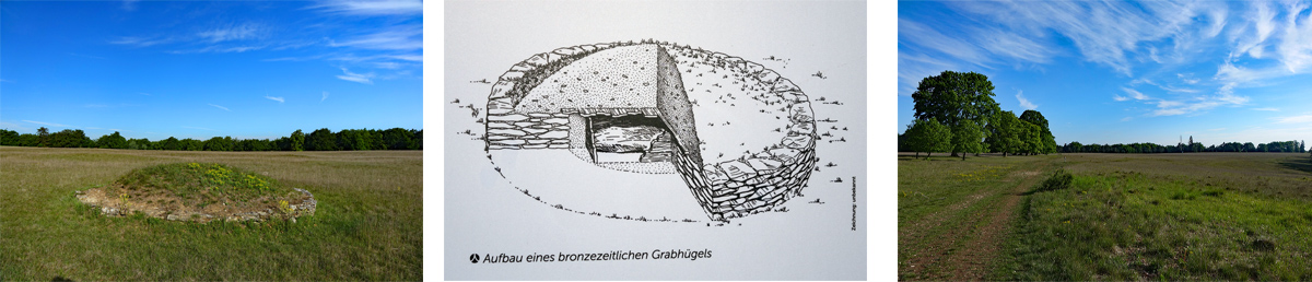 Kelten Grabhügel Vorgeschichtsweg Archäologischer Wanderpfad Thalmässing im Altmühltal