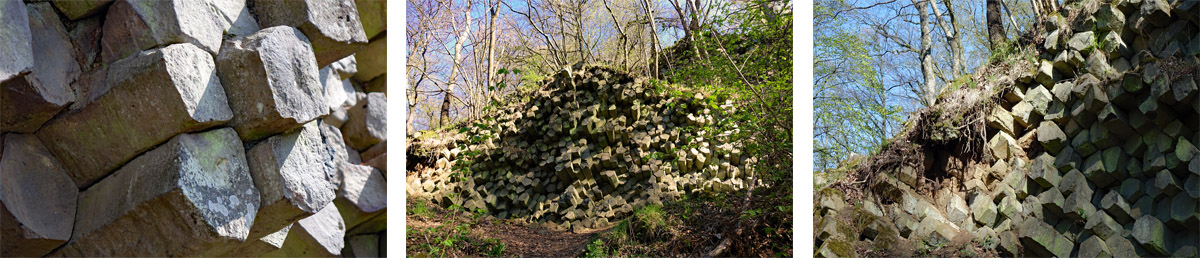 Basaltprismenwand mit Basaltsäulen auf dem Naturlehrpfad Gangolfsberg im Biosphärenreservat Rhön