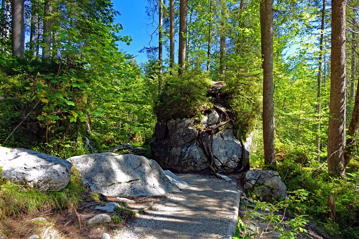 Der Weg durch den Zauberwald am Hintersee schlängelt sich an skurrilen Felsformationen vorbei
