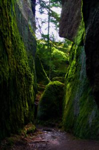 leuchtendes Moos an den Felswänden im Felsenlabyrinth Wunsiedel