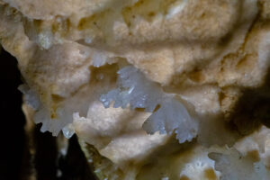 stalagnate fähnchen korallen binghöhle tropfsteine oberfranken