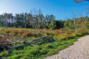 wandern auf dem wasserweg in roth mittelfranken