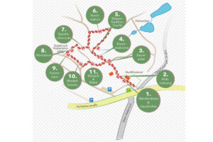 Die schönsten Naturlehrpfade in Mittelfranken 8 waldlehrpfad stadtwald fuerth kleeblattstadt mittelfranken wandern familie ausflug kinder specht