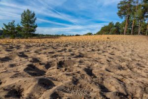 wüste franken leinburg nürnberger land sanddünen