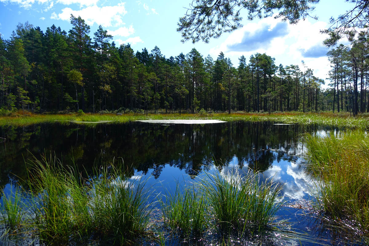 store mosse nationalpark schweden wandern