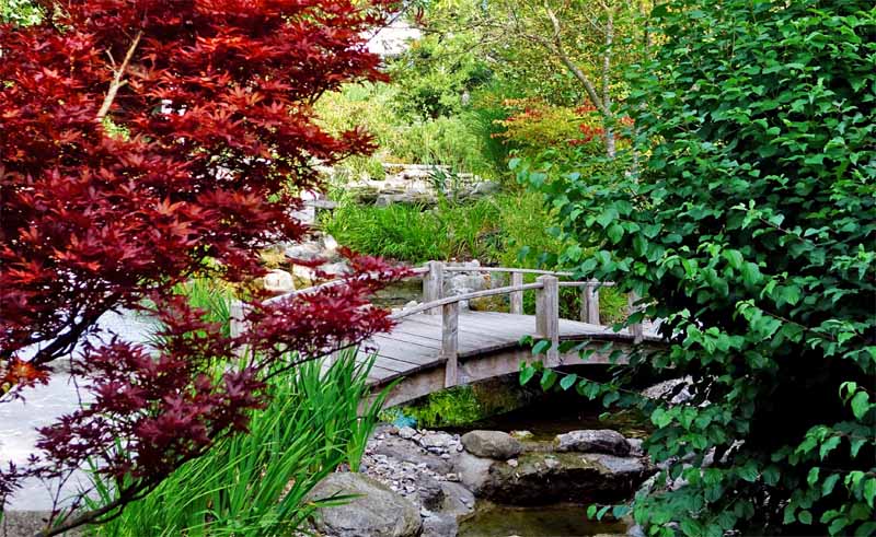 LOTOSGARTEN - ROTHENBURG OB DER TAUBER 3 parks gärten deutschland ausflug lotosgarten japanischer leyk rothenburg