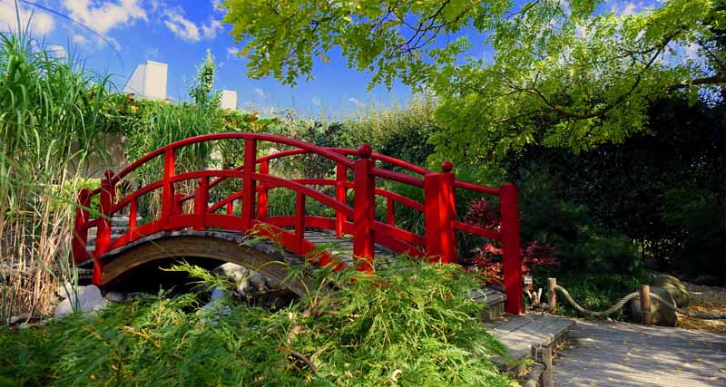 LOTOSGARTEN - ROTHENBURG OB DER TAUBER 8 japanische brücke lotosgarten park rothenburg