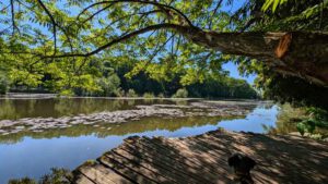 SCHLOSSPARK DENNENLOHE 9 steg am schlossweiher mühlweiher dennenlohe schlosspark