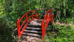 SCHLOSSPARK DENNENLOHE 8 chinesische brücke schlosspark dennenlohe rhododendronpark