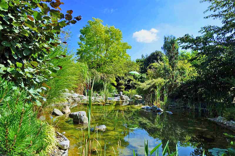 leyk lotosgarten rothenburg park garten japan