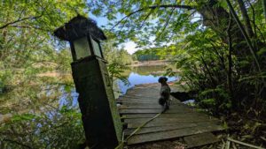 SCHLOSSPARK DENNENLOHE 10 steg mühlweiher schlosspark dennenlohe