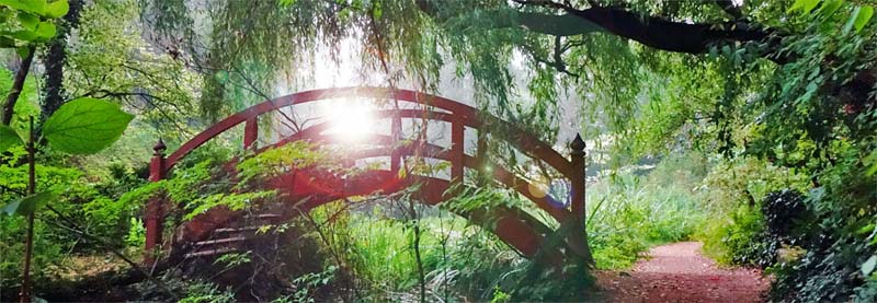 parks und gärten in mittelfranken bayern schlosspark dennenlohe