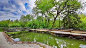 alter kanal ludwig donau main schwarzenbruck schwarzachklamm