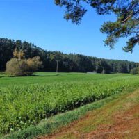 Rundweg Aurachtal (Mittelfranken, Landkreis Roth) 14 wandern aurachtal büchenbach landkreis roth