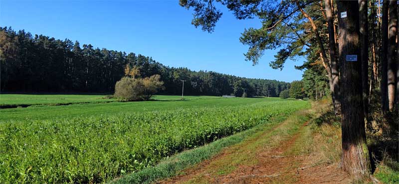 Rundweg Aurachtal (Mittelfranken, Landkreis Roth) 2 wandern aurachtal büchenbach landkreis roth