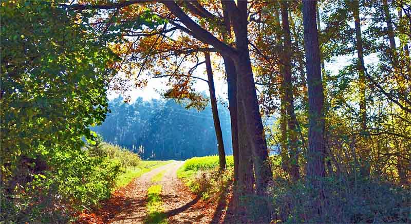 Rundweg Aurachtal (Mittelfranken, Landkreis Roth) 10 wandern im landkreis roth mittelfranken büchenbach aurachtal rothaurach