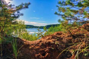Auf in die fränkische Wüste: Flechten-Kiefernwald und Sanddünen bei Leinburg (Nürnberger Land) 35 sandachse franken wanderungen