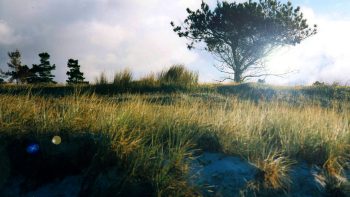 Permalink auf:NATURRÄUME Permalink auf:NATURRÄUME