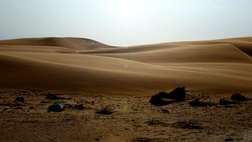 naturraum wüste halbwüste trockengebiet