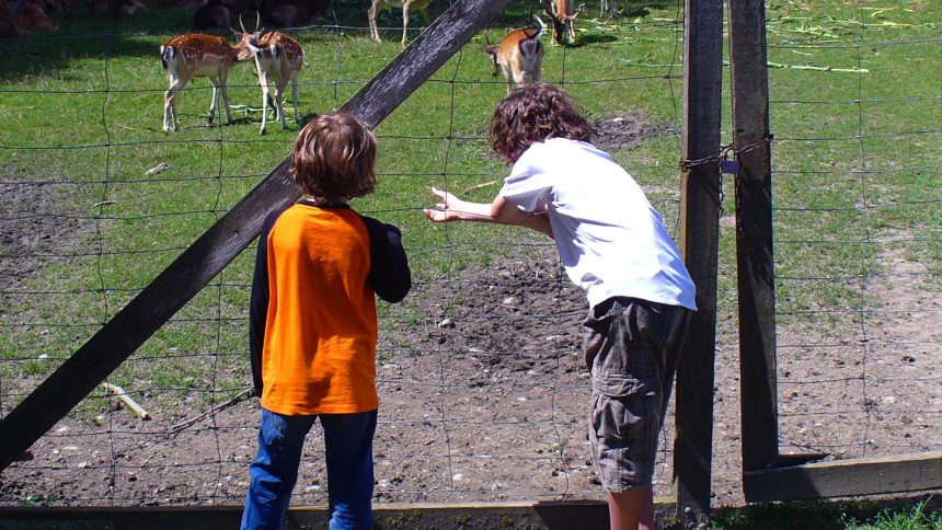 wandern mit kindern voraussetzungen