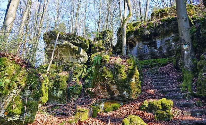 Karstkundlicher Wanderpfad (Mittelfranken, Landkreis Nürnberger Land) 2 ausflug wandern nürnberger land weissingkuppe karstkundlicher pfad