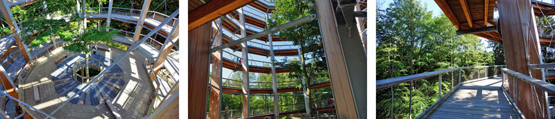 Baumwipfelpfad Steigerwald (Landkreis Bamberg) 11 aussichtsturm aussichtsplattform baumwipfelpfad steigerwald