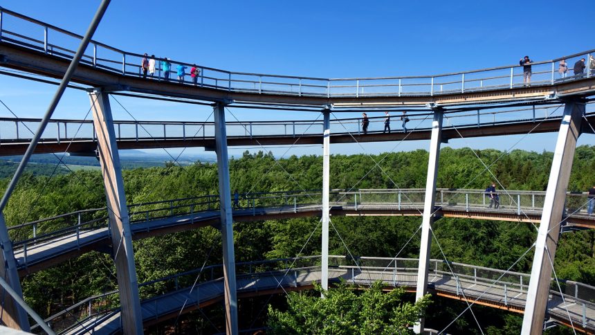 baumwipfelpfad steigerwald franken bayern