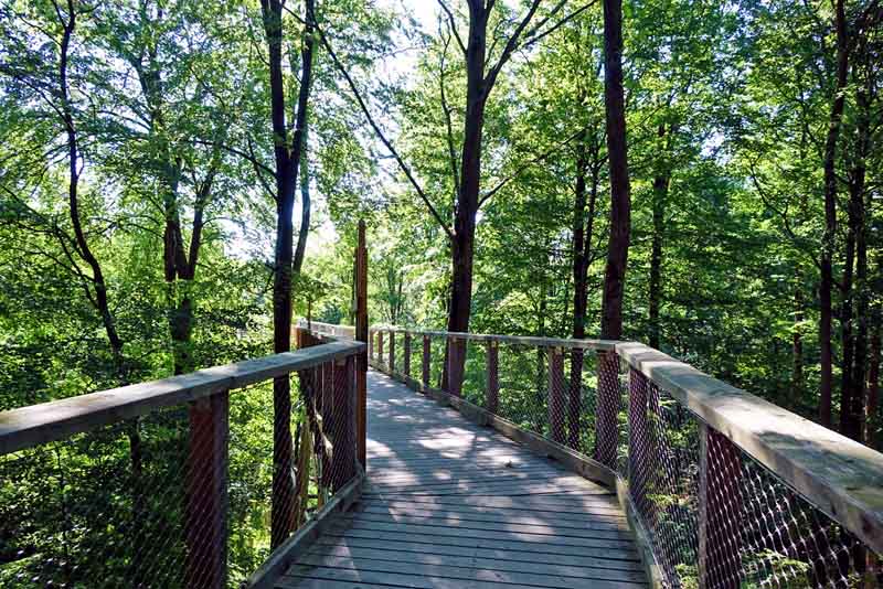 Baumwipfelpfad Steigerwald (Landkreis Bamberg) 3 baumwipfelpfad bayern steigerwald eingang