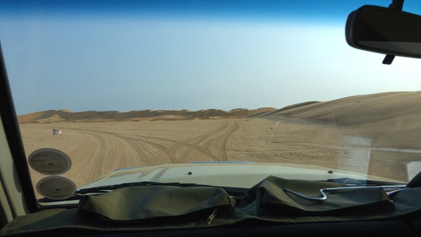 safari infos tipps afrika namibia