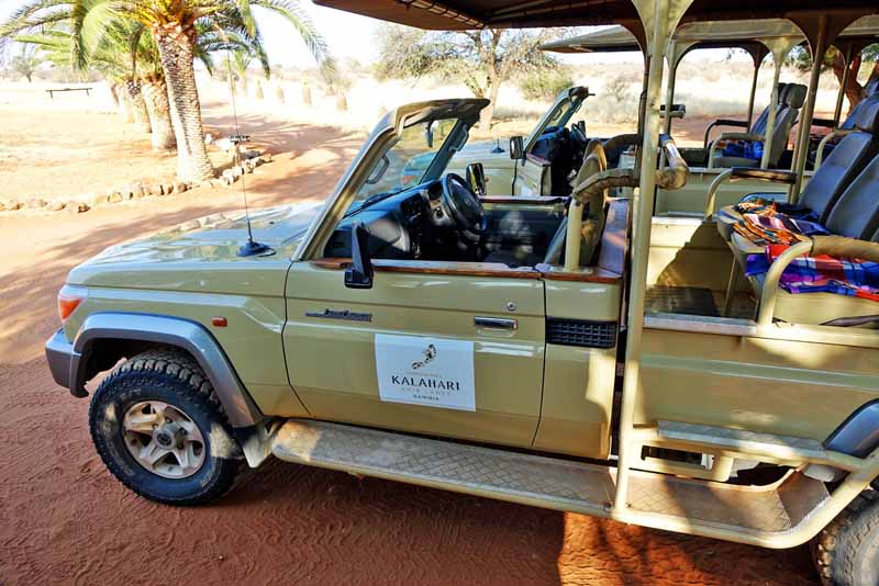 WELCHE ARTEN VON SAFARIS GIBT ES 4 safari kalahari walking flug infos tipps