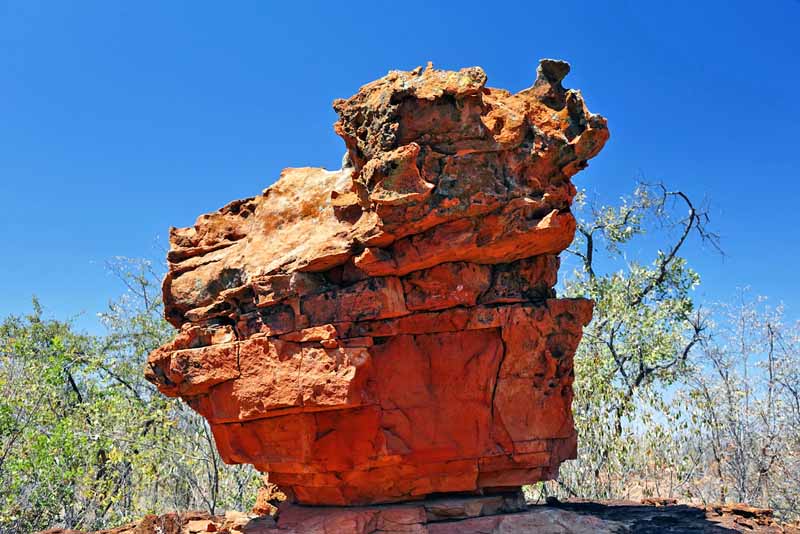 WELCHE ARTEN VON SAFARIS GIBT ES 12 safari afrika varianten infos tipps