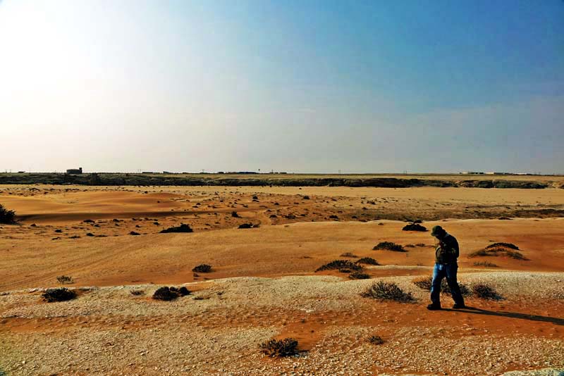 SAFARI IN AFRIKA 6 safari namibia little five