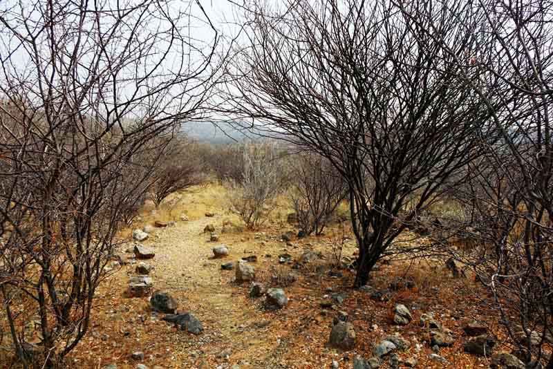 WELCHE ARTEN VON SAFARIS GIBT ES 11 walking safari wandern afrika wüste savanne busch