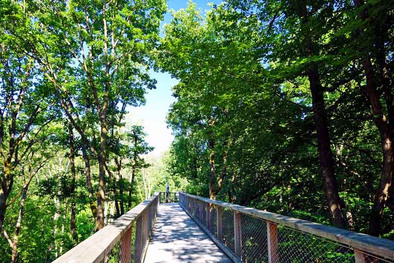 Baumwipfelpfad Steigerwald (Landkreis Bamberg) 8 ausflugsziele kinder kleinkinder kinderwagen