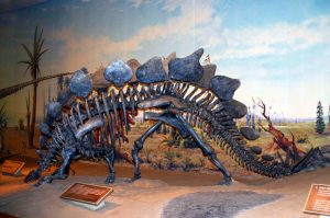 royal tyrrell dinosaur museum alberta kanada 